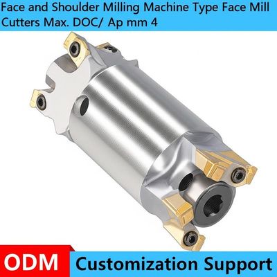 Fraiseuse de face et d'épaulement Type Fraises de face Max. Profondeur de passe/Ap mm 4 Support de personnalisation ODM
